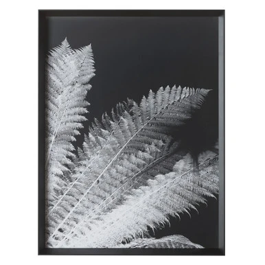 Tropical Palm Duo - Image 2