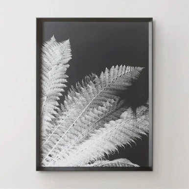 Tropical Palm Duo - Image 3