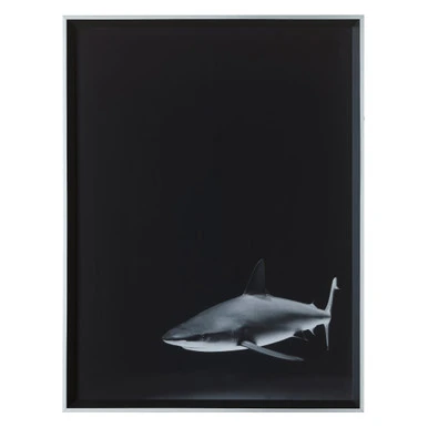 Silence In The Deep - Image 2