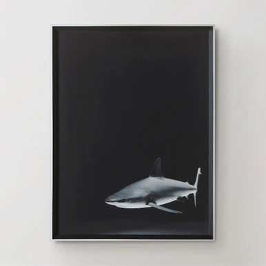 Silence In The Deep - Image 3