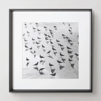 Escher's Seagulls - Image 3