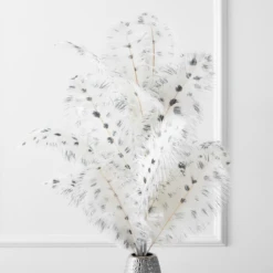Ostrich Spray - Set Of 3