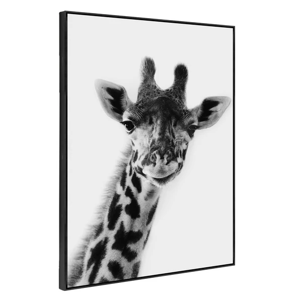 Exotic Animals 4 - Image 2