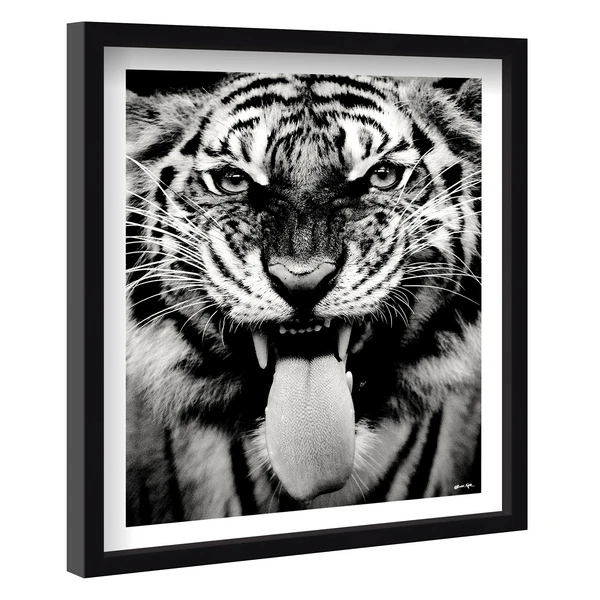 Wild Tiger - Image 2