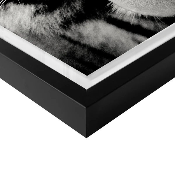 Wild Tiger - Image 4