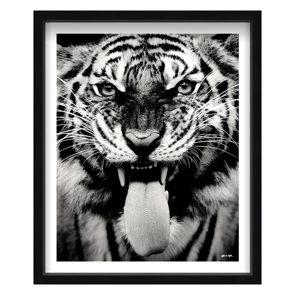 Wild Tiger - Image 5