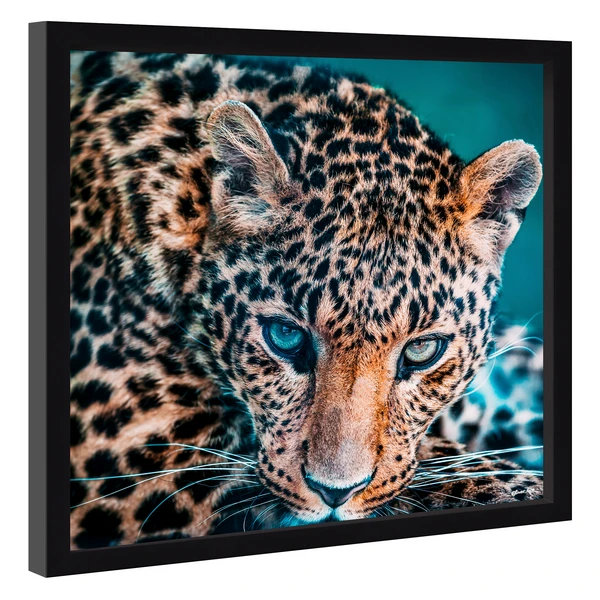 Jungle Cat Stare - Image 2