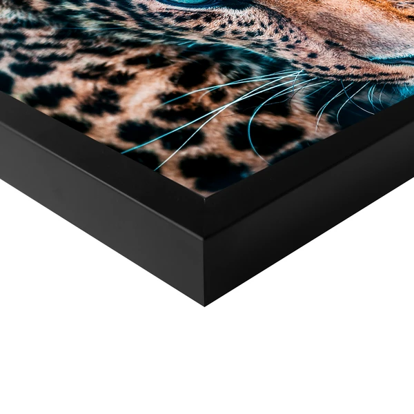 Jungle Cat Stare - Image 4