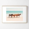 Summer Beach Horses