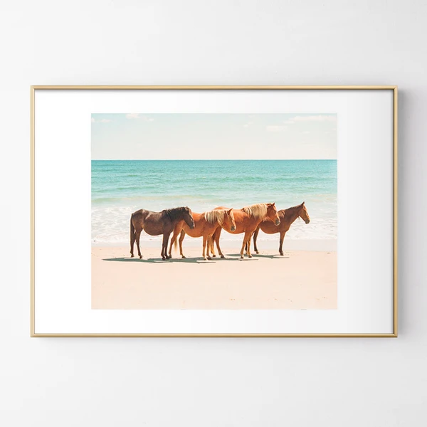 Summer Beach Horses