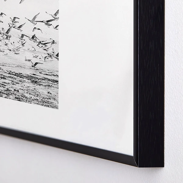 Seagulls Coast - Image 2