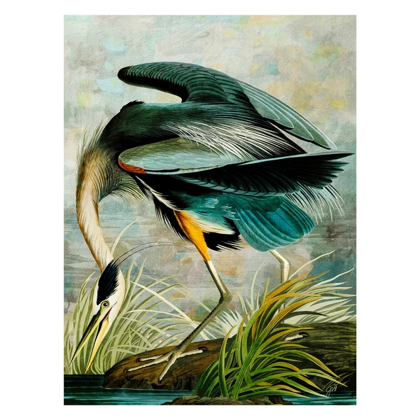 Curiosities 8 - Image 3