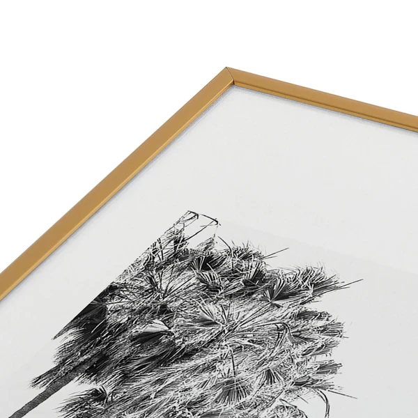 Laguna Cove - Image 3