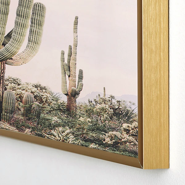 Pastel Pink Cactus - Image 2