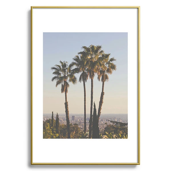 La Palms - Image 4