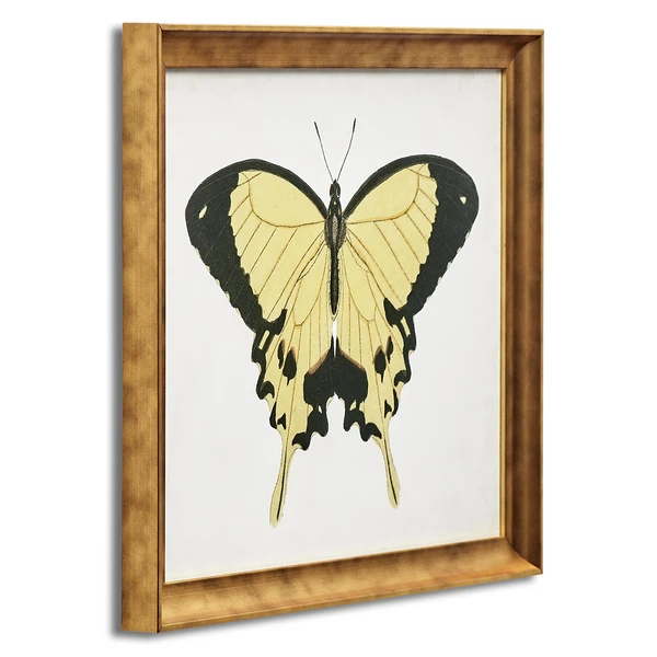 Beautiful Butterfly 1 - Image 2