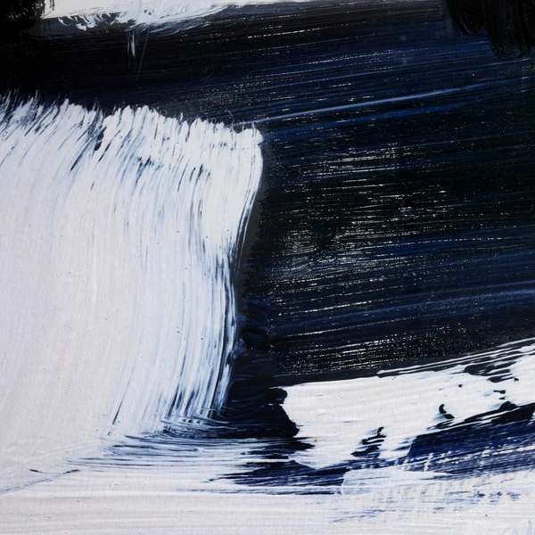 Expressive Monochrome 2 - Limited Edition - Image 3