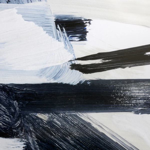 Expressive Monochrome 1 - Limited Edition - Image 3